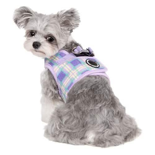 Puppia Medium Size Jaylen Pattern Dog Harness in Violet Color