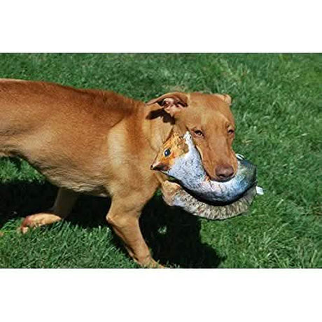 Meowijuana Doggijuana Get Outside Squirrel Large - 4oz Size for Dogs