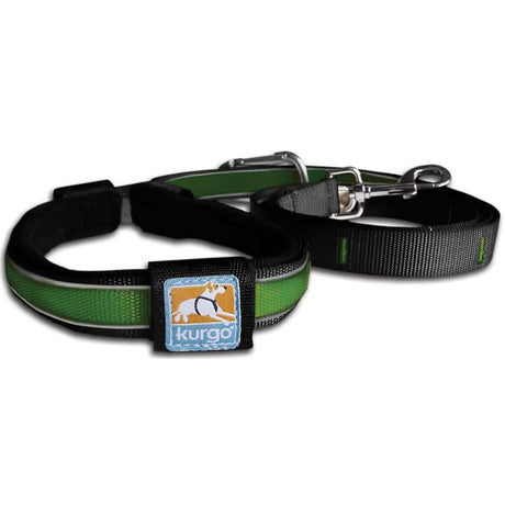 Kurgo Dog Quantum Reflective Leash Green, 6-ft Long, 1-in Wide