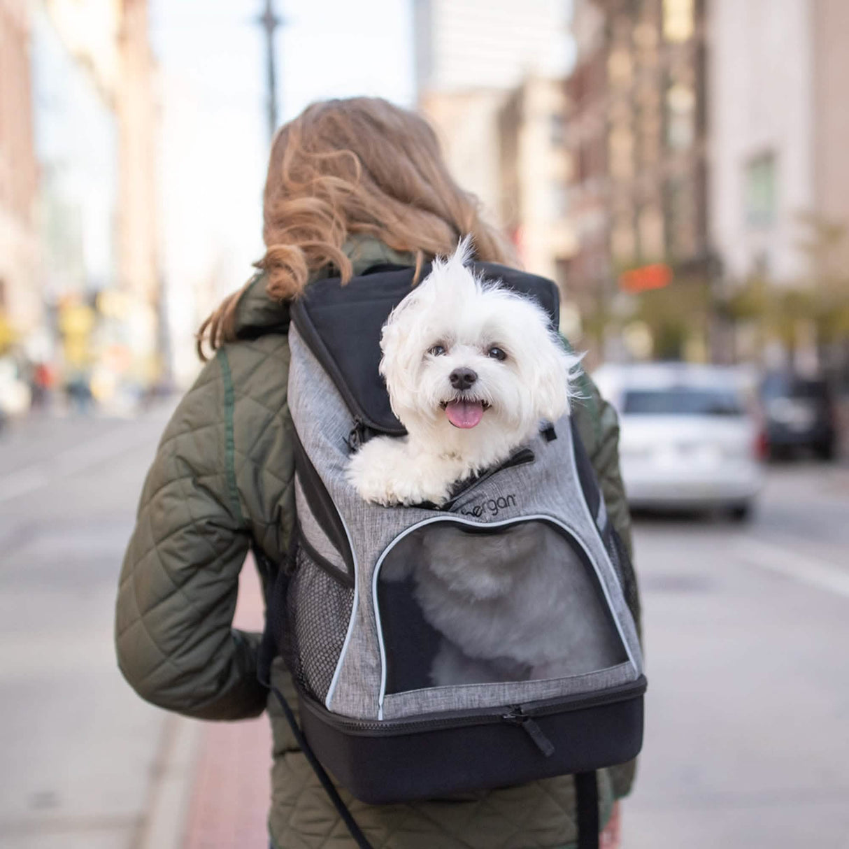 Bergan Small Pet Carrier Backpack in Heather Grey, Size 11.5L x 9W x 17.5H