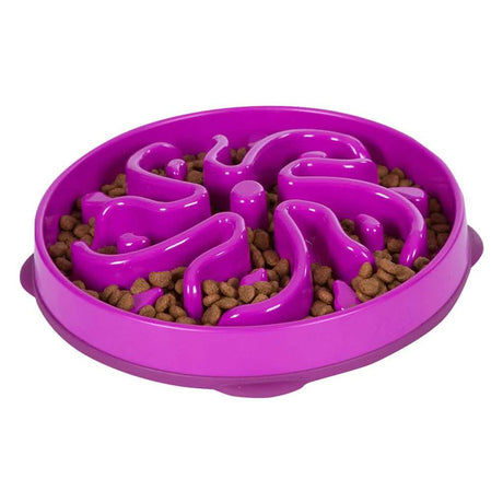 Outward Hound Large Fun Feeder Slow Bowl for Dogs in Purple Color