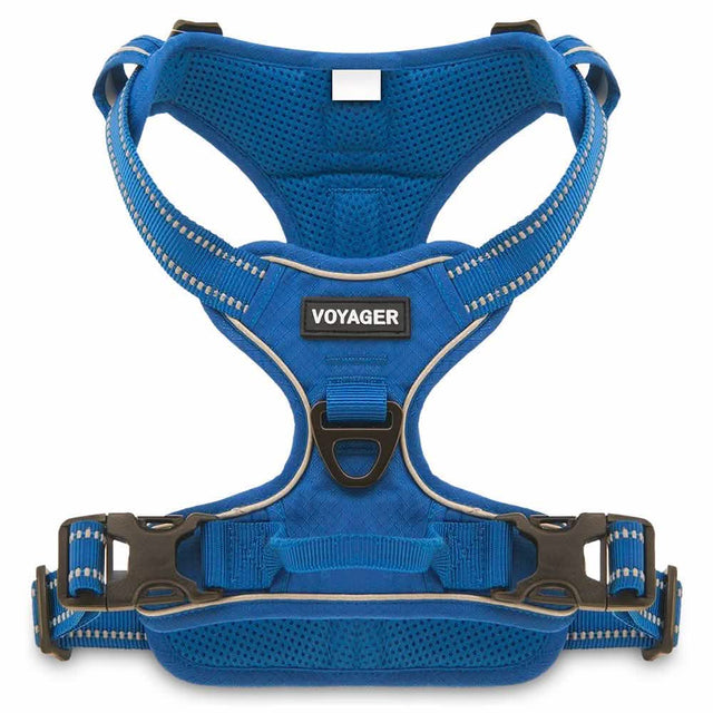 Voyager Harness Dual Attachment Adjustable Royal Blue XS