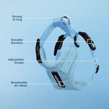 Voyager Harness Step In Lock Baby Blue with Baby Blue Trim XS