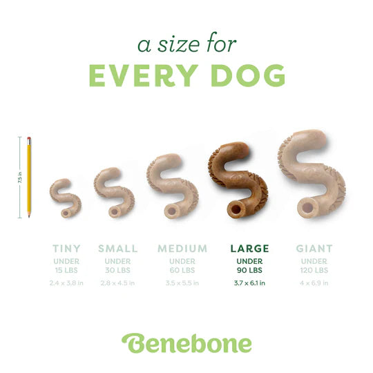 Benebone Tripe Bone Toy for Dogs (Large)