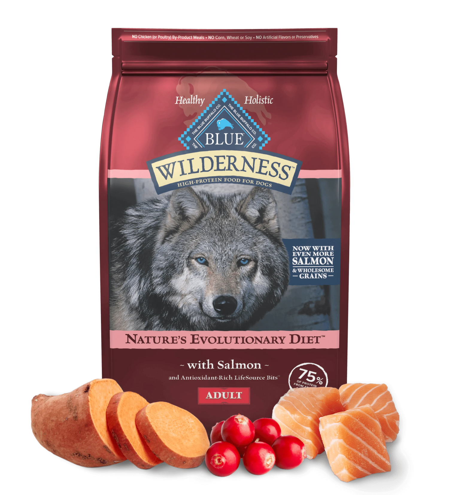Blue Buffalo Wilderness Adult Salmon Dry Dog Food