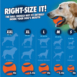 Chuckit! Ball - Ultra Squeaker Ball (Medium 2.5" 2 pack)