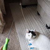 Coastal Turbo Telescoping Wand With LED Cat Toy