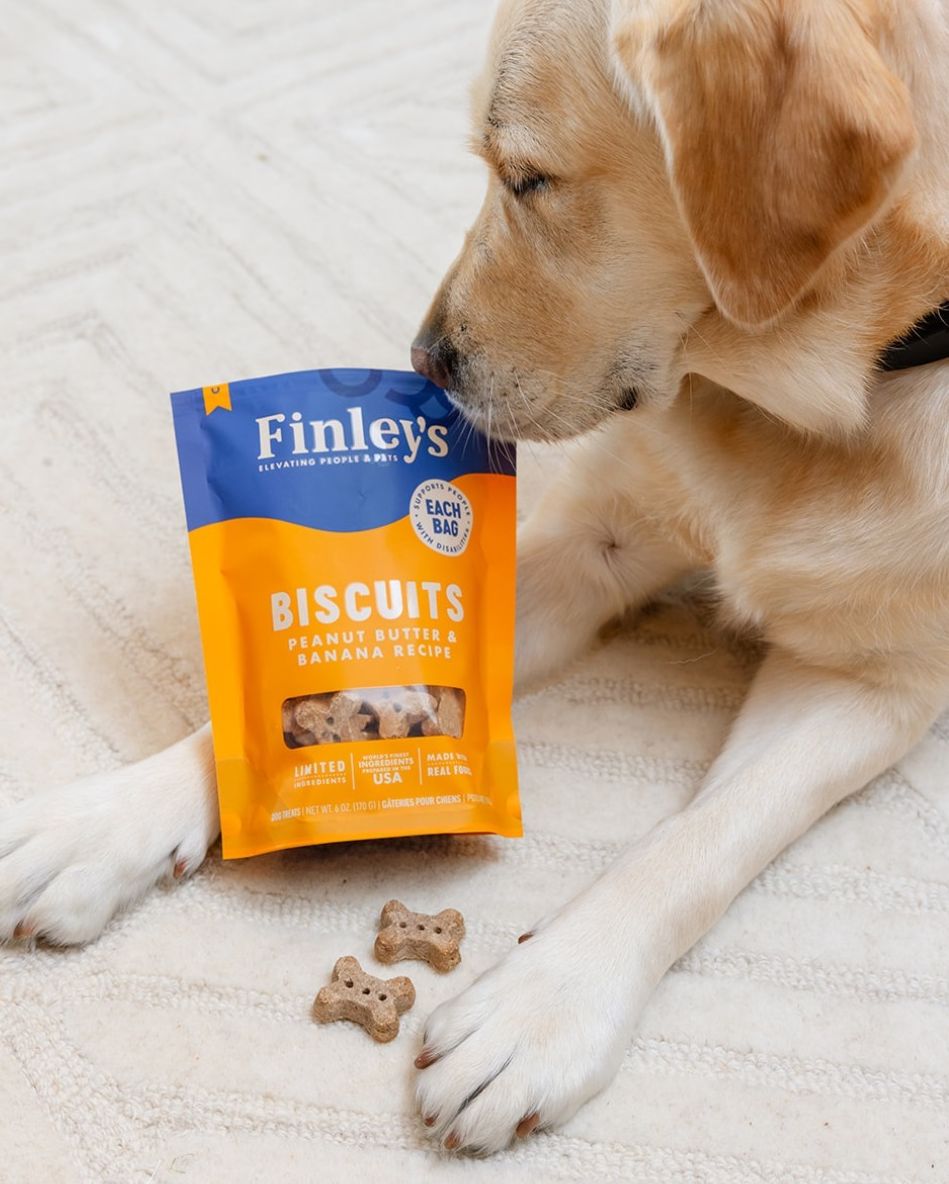 Finley's Biscuits Apple & Cinnamon Recipe Dog Treats (6oz bag)