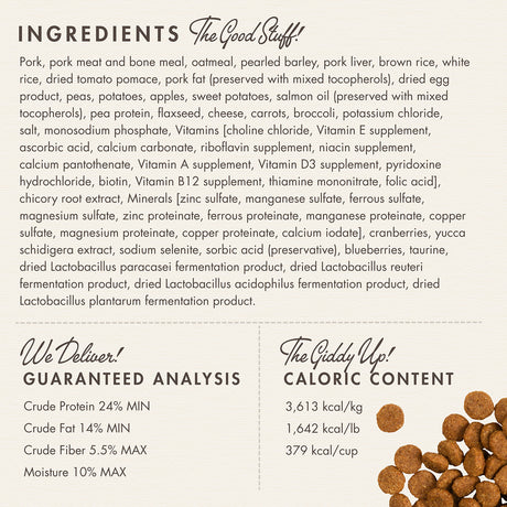 Fromm Four-Star Pork & Applesauce Dry Dog Food (26lb)