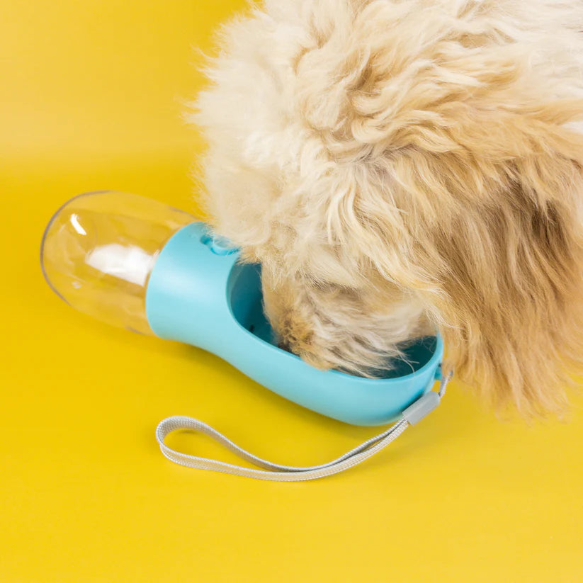 Green Waves Portable Pet Water Bottle Turquoise (10 oz)