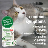 HomeoPet Feline Anxiety Relief for Cats
