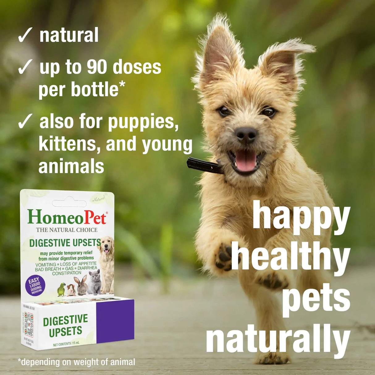 HomeoPet Digestive Upsets