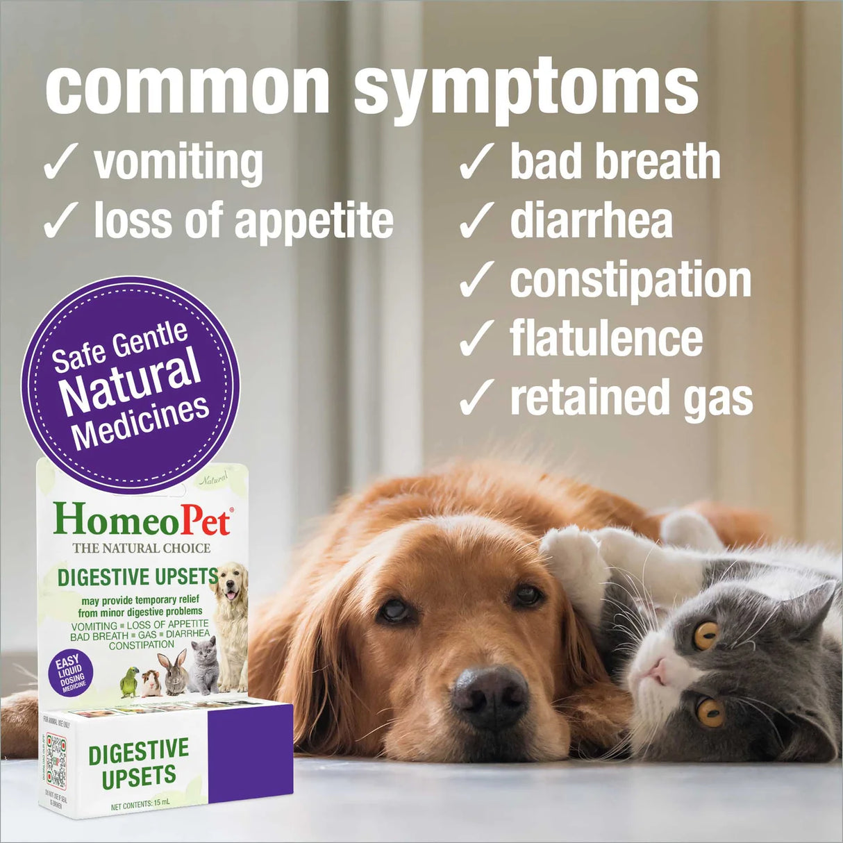 HomeoPet Digestive Upsets