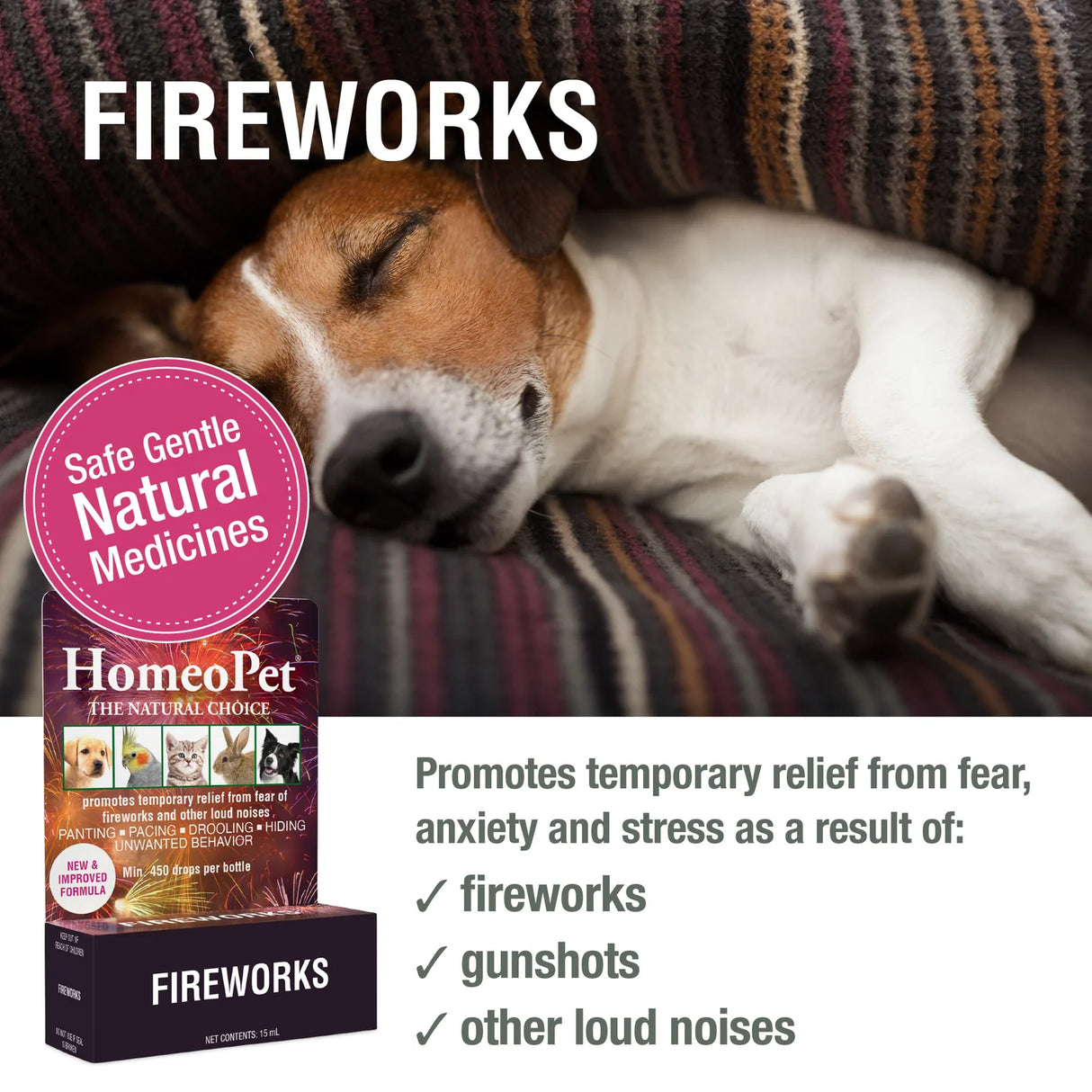 HomeoPet Fireworks