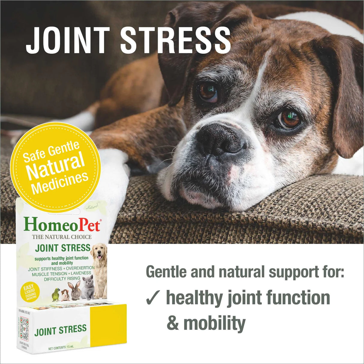 HomeoPet Joint Stress for Pets