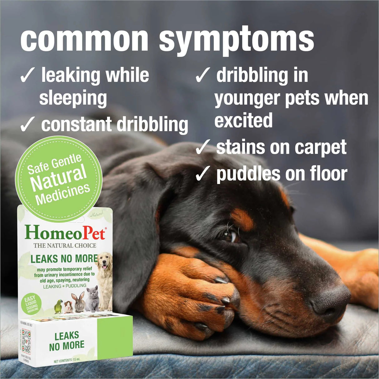 HomeoPet Leaks No More for Pets