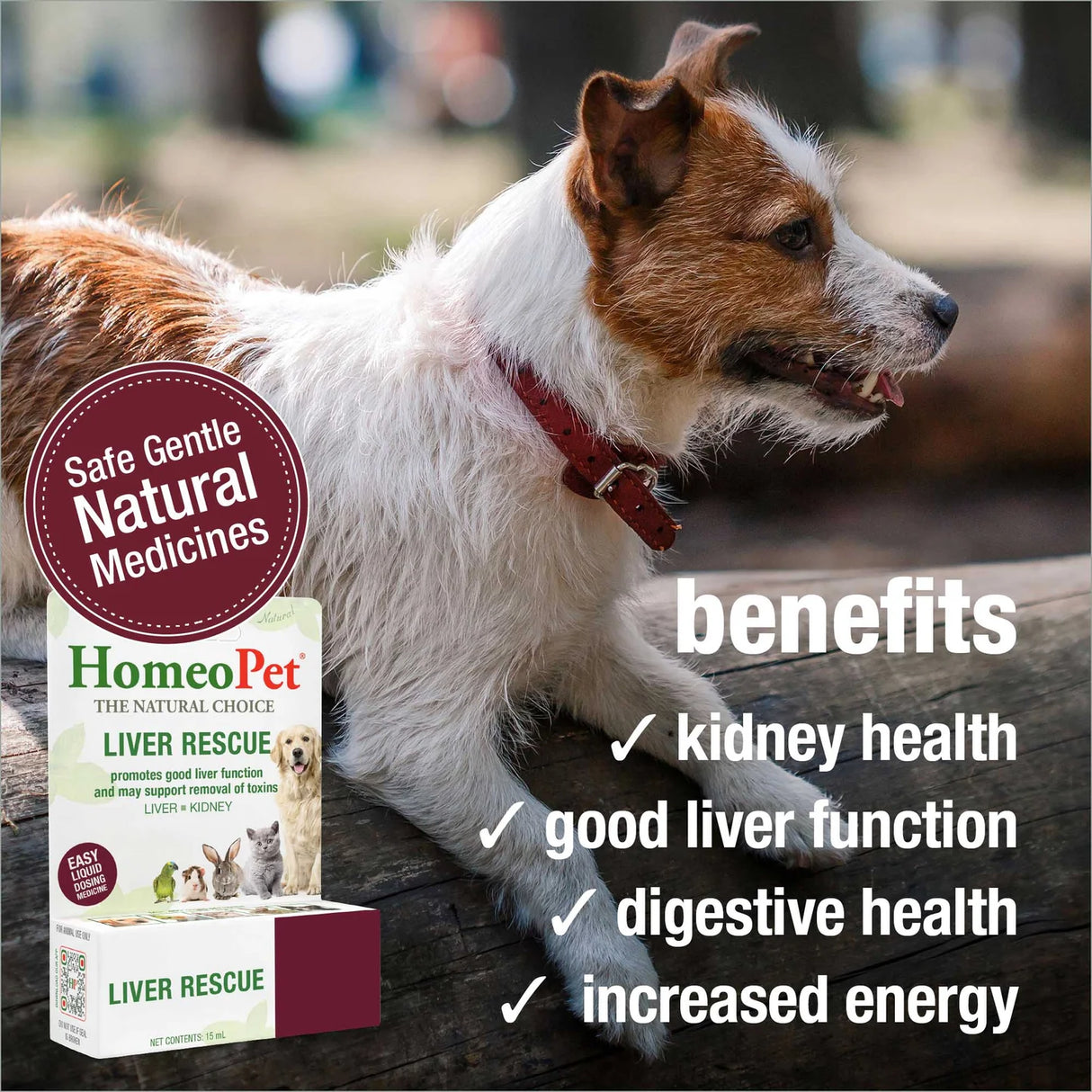 HomeoPet Liver Rescue for Pets