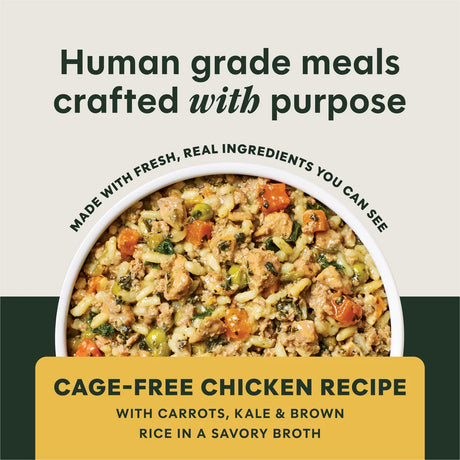 Instinct Freshly Crafted & Ready Chicken Recipe Wet Dog Food (11oz carton)