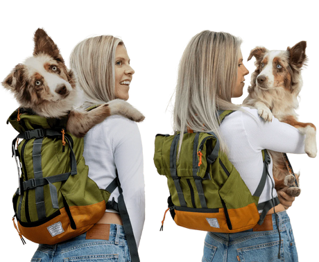 K9 Sport Sack Urban 3 Grey/Orange (Large)