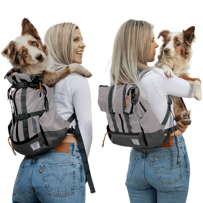 K9 Sport Sack Urban 3 Grey/Orange (Medium)
