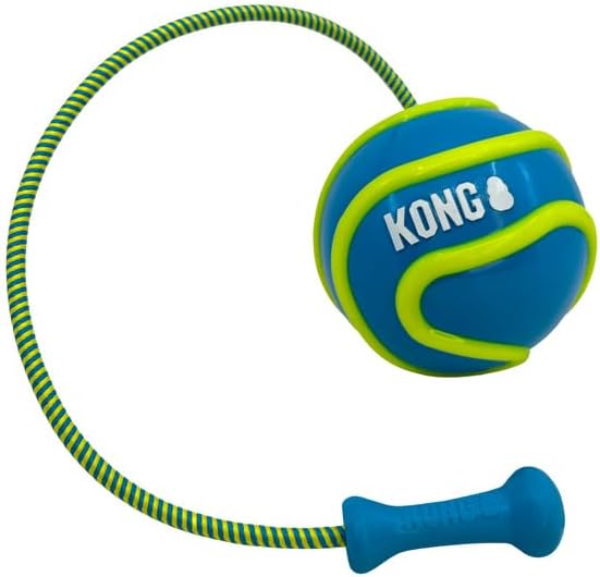 Kong Bunji High-Viz Ball Dog Toy (Large - Assorted Colors)