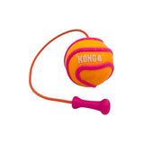 Kong Bunji High-Viz Ball Dog Toy (Medium - Assorted Colors)