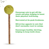 Meowijuana Cat Toy Catnip/Silvervine Lollies