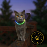 NITE IZE NiteMeow Rechargeable LED Safety Necklace (Small)