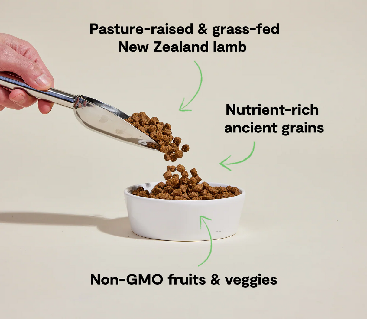 Open Farm Pasture-Raised Lamb & Ancient Grains Dry Dog Food (22lb Bag)