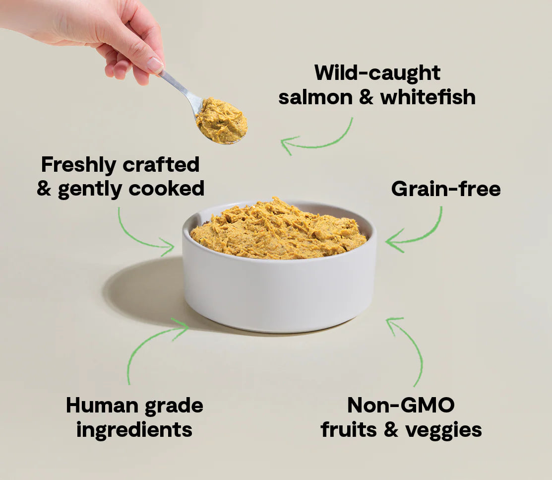 Open Farm Wild-Caught Fish Cooked Frozen Dog Food (16oz)