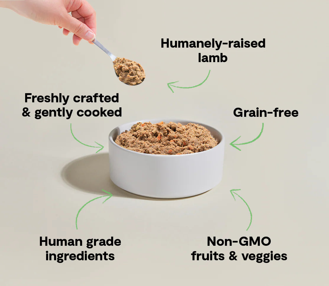 Open Farm Pasture-Raised Lamb Cooked Frozen Dog Food (16oz)