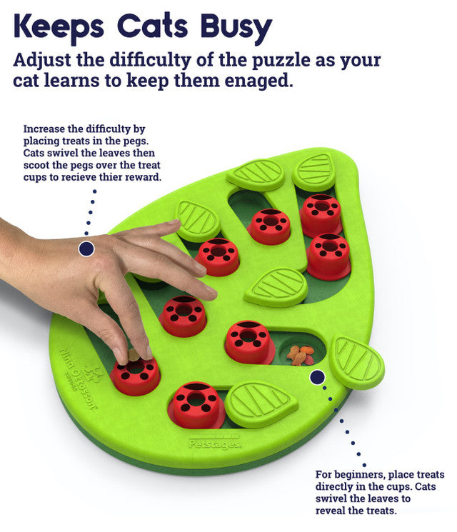 Outward Hound Buggin' Out Puzzle & Play Interactive Puzzle Cat Toy