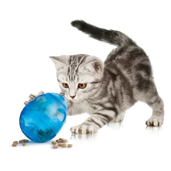 PetSafe Eggcersizer Cat Toy