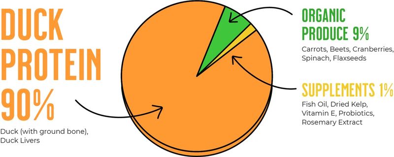 Dynamique brut d congelé canard brut 6lb