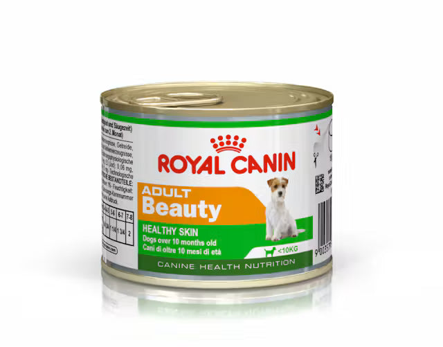 Pan Royal D Beauty para adultos en salsa, 5,2 oz