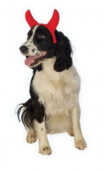 Rubies Halloween Devil Horns Pet Costume (Small/Medium)