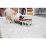 Caja de varillas de actividades Trixie C