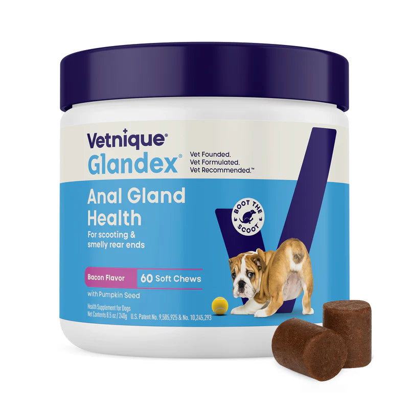 Vetnique Glandex Anal Gland Soft Chew Bacon Supplement for Dogs (60 Chews)