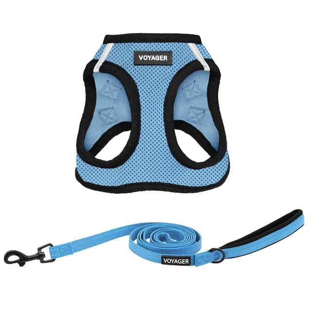 Voyager Cat Harness & Leash Step-In Air Light Blue with Light Blue Trim (XXS)