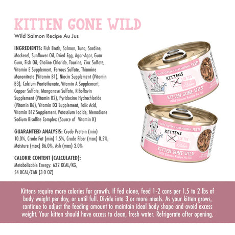 Weruva Cat Wet Food KITK Kitten Gone Wild Salmon 3oz