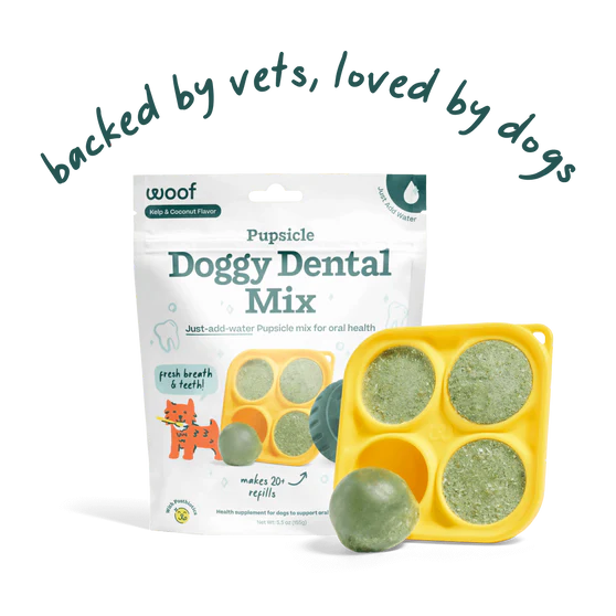 Woof Pupsicle Doggy Dental Dog Treat Mix (5.5oz)