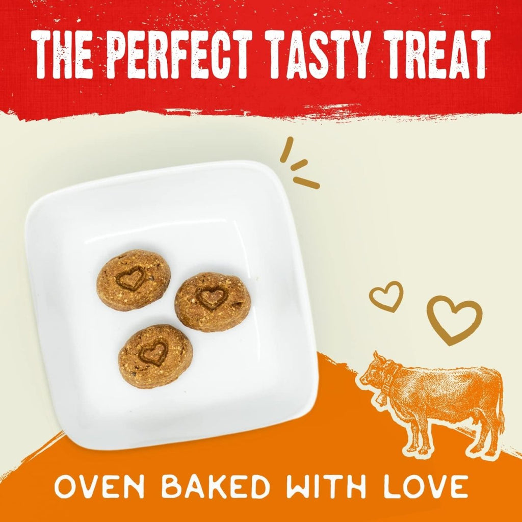 Stella & Chewy's Dog Treat Freeze-Dried Raw Coated Biscuits Grass-Fed Beef Recipe