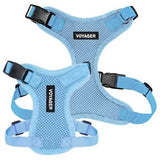 Voyager Harness Step In Lock Baby Blue with Baby Blue Trim XS