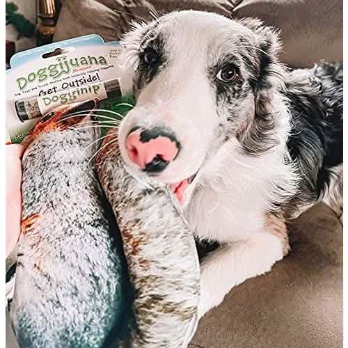 Meowijuana Doggijuana Get Outside Squirrel Large - 4oz Size for Dogs
