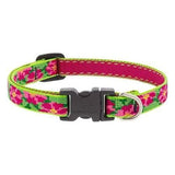 Lupine Adjustable 1/2 Petunias Cat Collar, 8-12 Size, Petunias Color