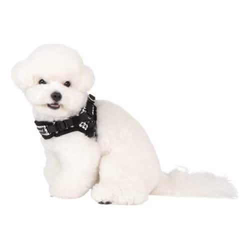 Puppia Small Egon Pattern Dog Harness in Black