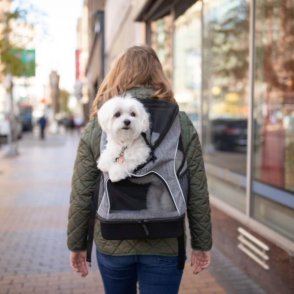 Bergan Small Pet Carrier Backpack in Heather Grey, Size 11.5L x 9W x 17.5H