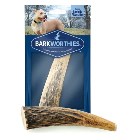 Barkworthies Small Size Whole Elk Antler for Dogs