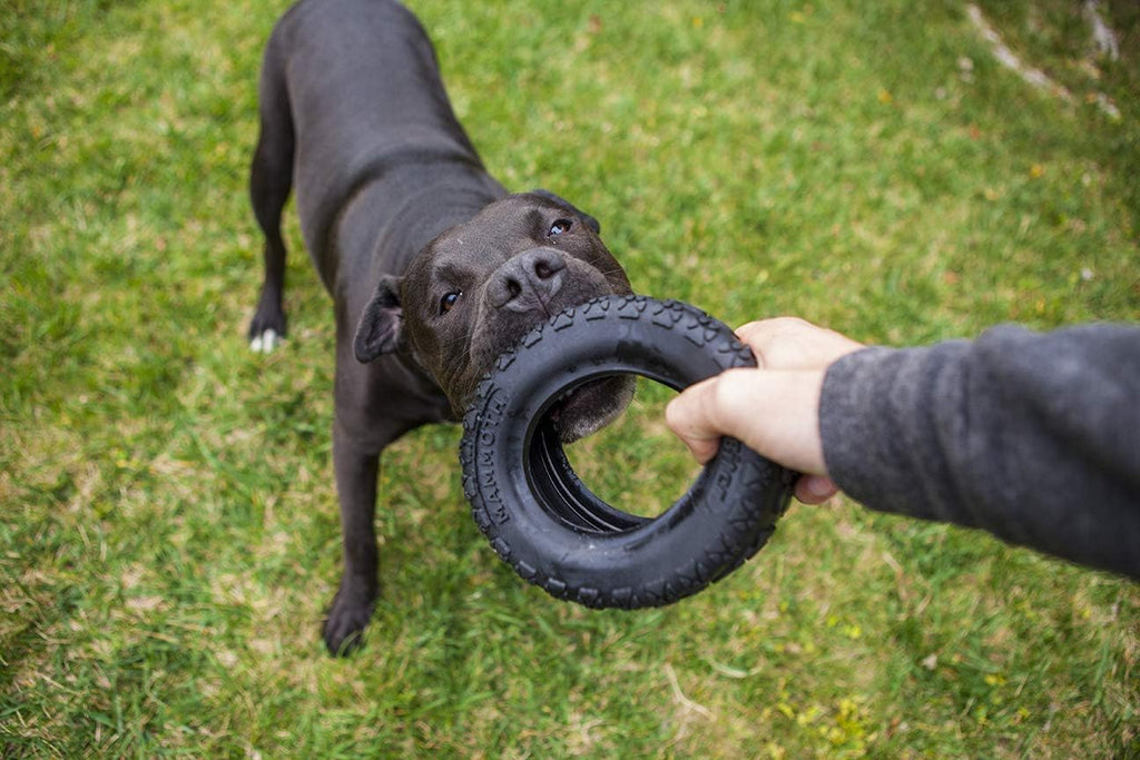 Mammoth Dog Toy TireBiter II with Rope