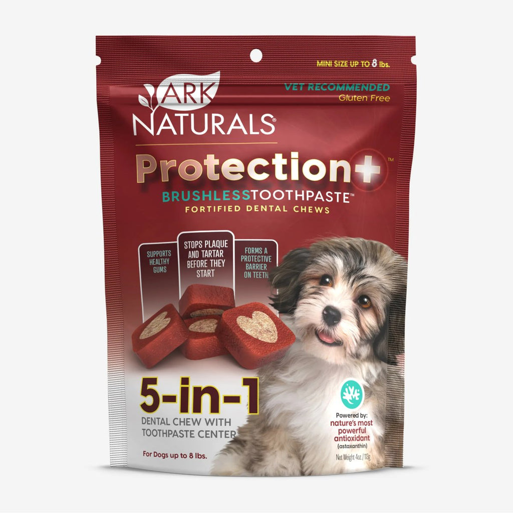 Ark Naturals Dog Treat Protection+ Brushless Toothpaste 5-in-1 Dental Chews Mini